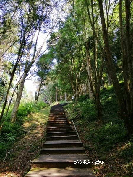 【桃園復興】走入山林森呼吸。 No22小百岳~東眼山 121