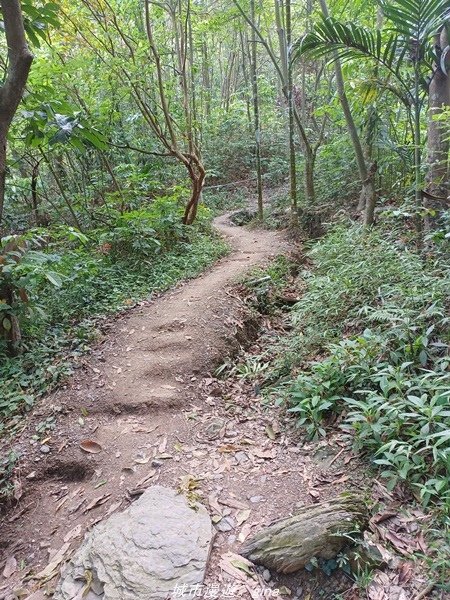 【屏東瑪家】汗流浹背太自虐。 小百岳集起來。 No76小百岳