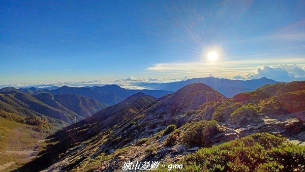 【台中和平】山迢路遠換一回高山好景致。 No75百岳雪山東峰