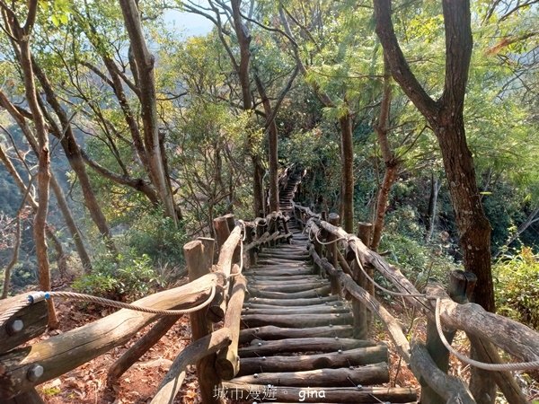 【台中北屯】大坑四號步道頭嵙山