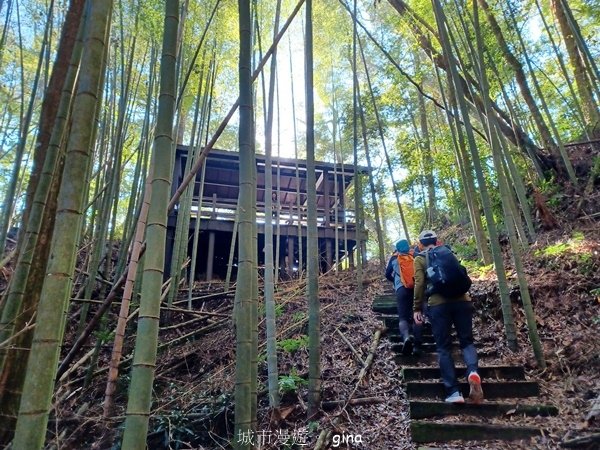 【雲林古坑】石壁山連走好望角嘉南雲峰