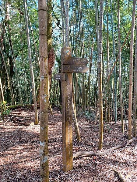 【雲林古坑】石壁山連走好望角嘉南雲峰
