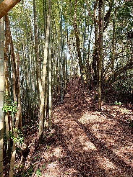 【雲林古坑】石壁山連走好望角嘉南雲峰