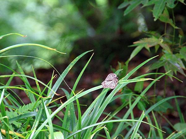 IMG_8792.JPG