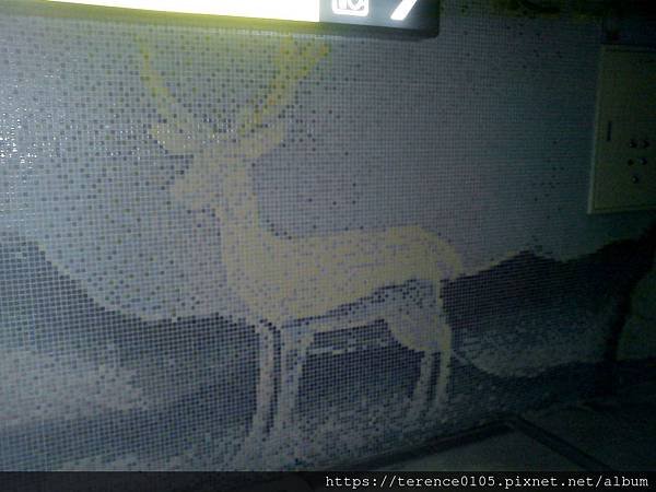 19TR_920_F21.JPG