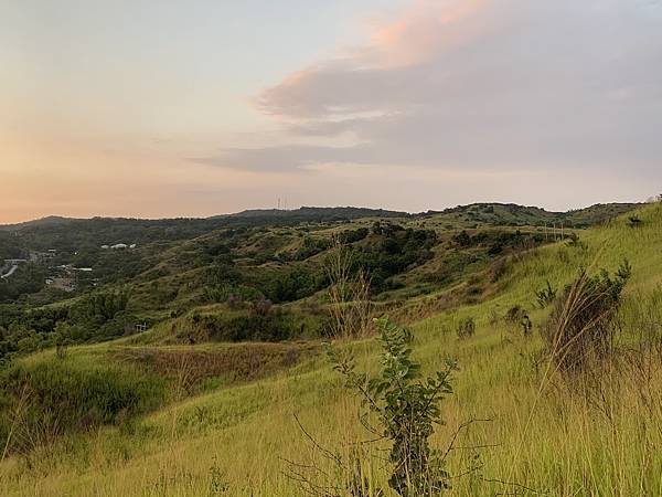 IMG_2837.jpg